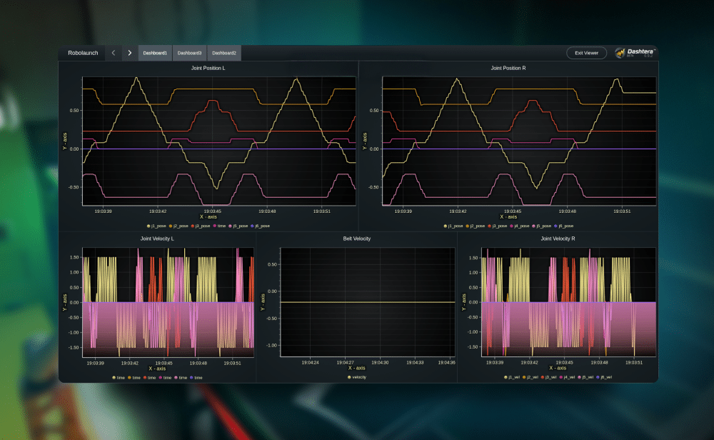 Graphical data visualization of joint positions
